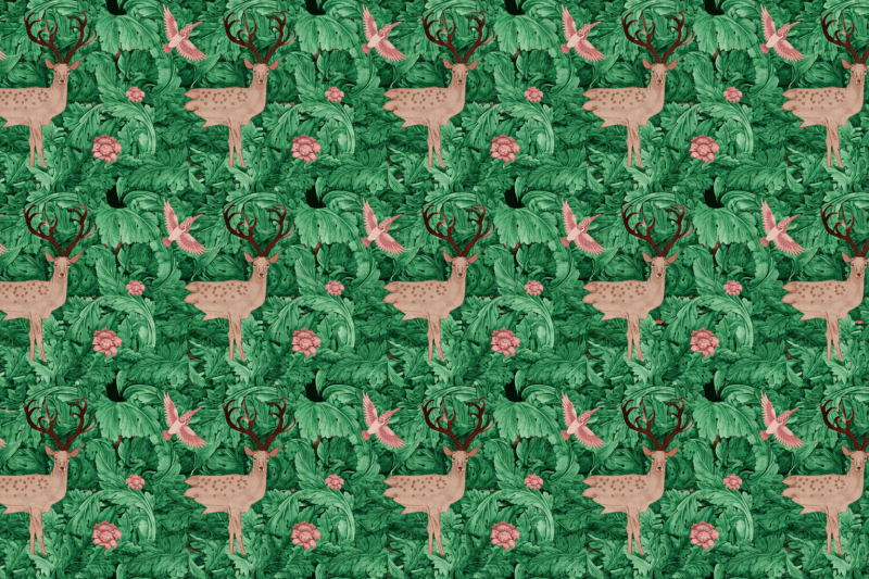 Uploaded
wallpaper