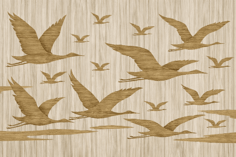 Uploaded
wallpaper