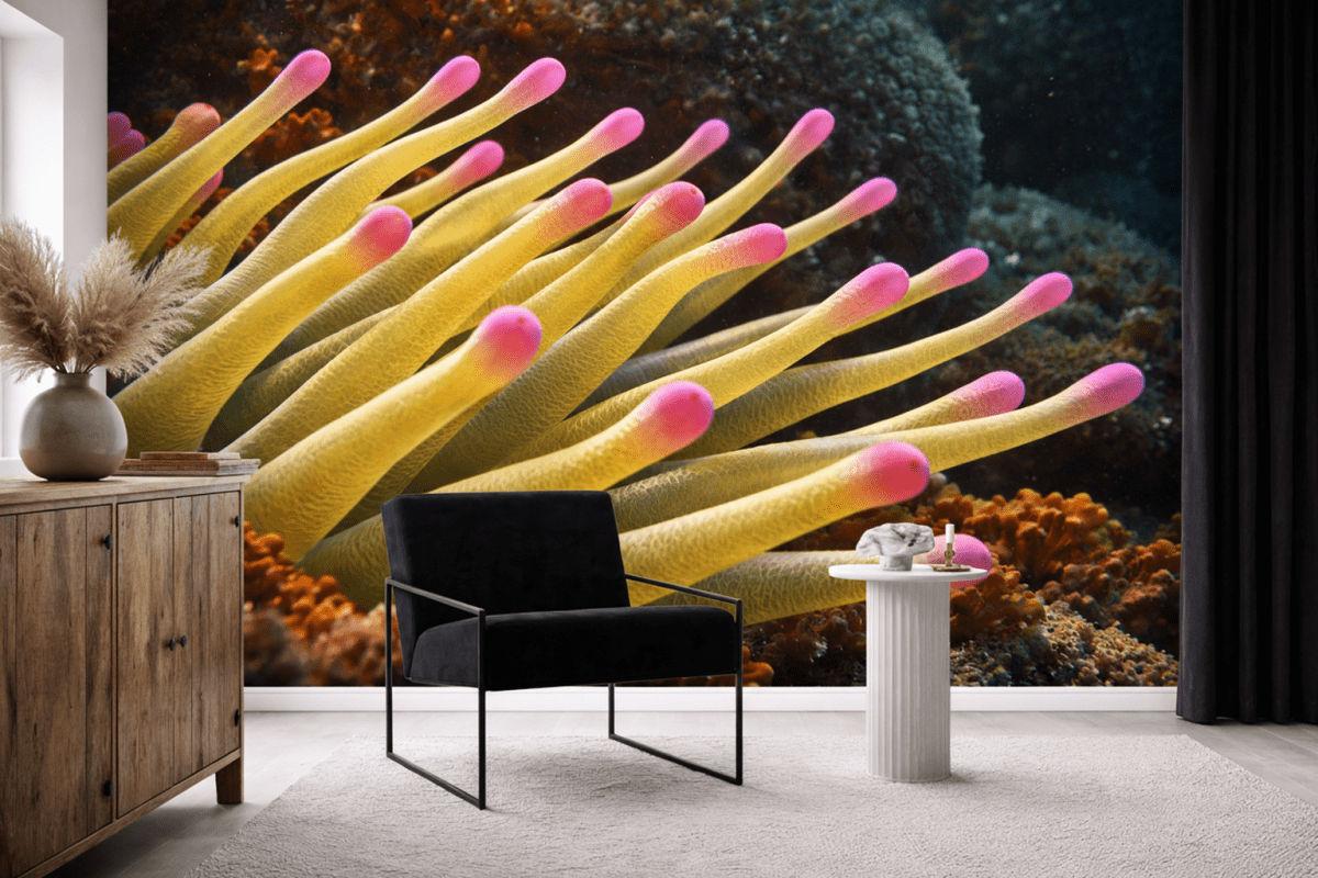 Fuchsia Tentacles
