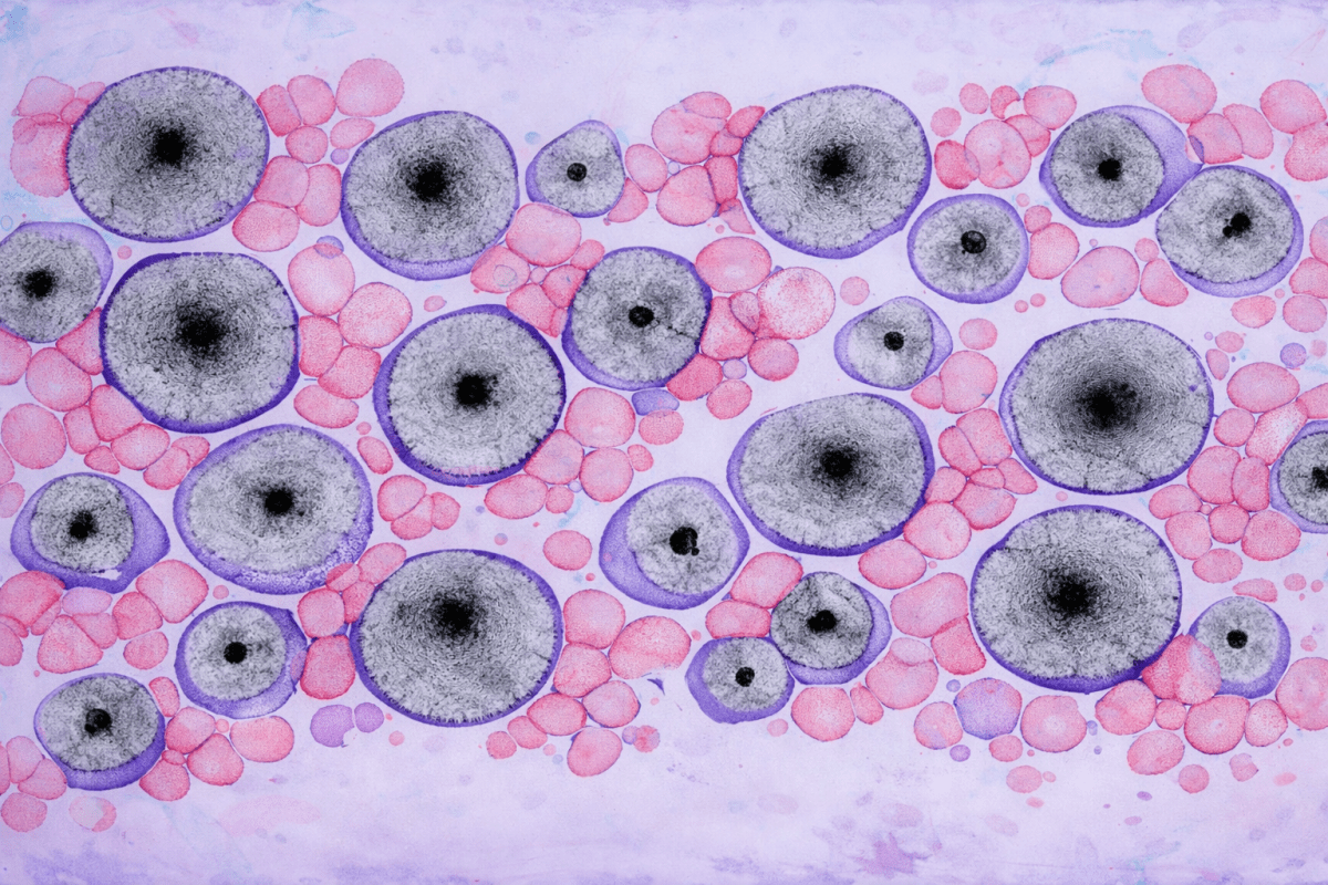Mosaic Bioforms