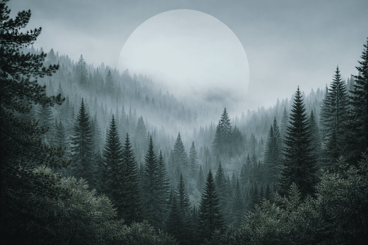 Twilight Horizon