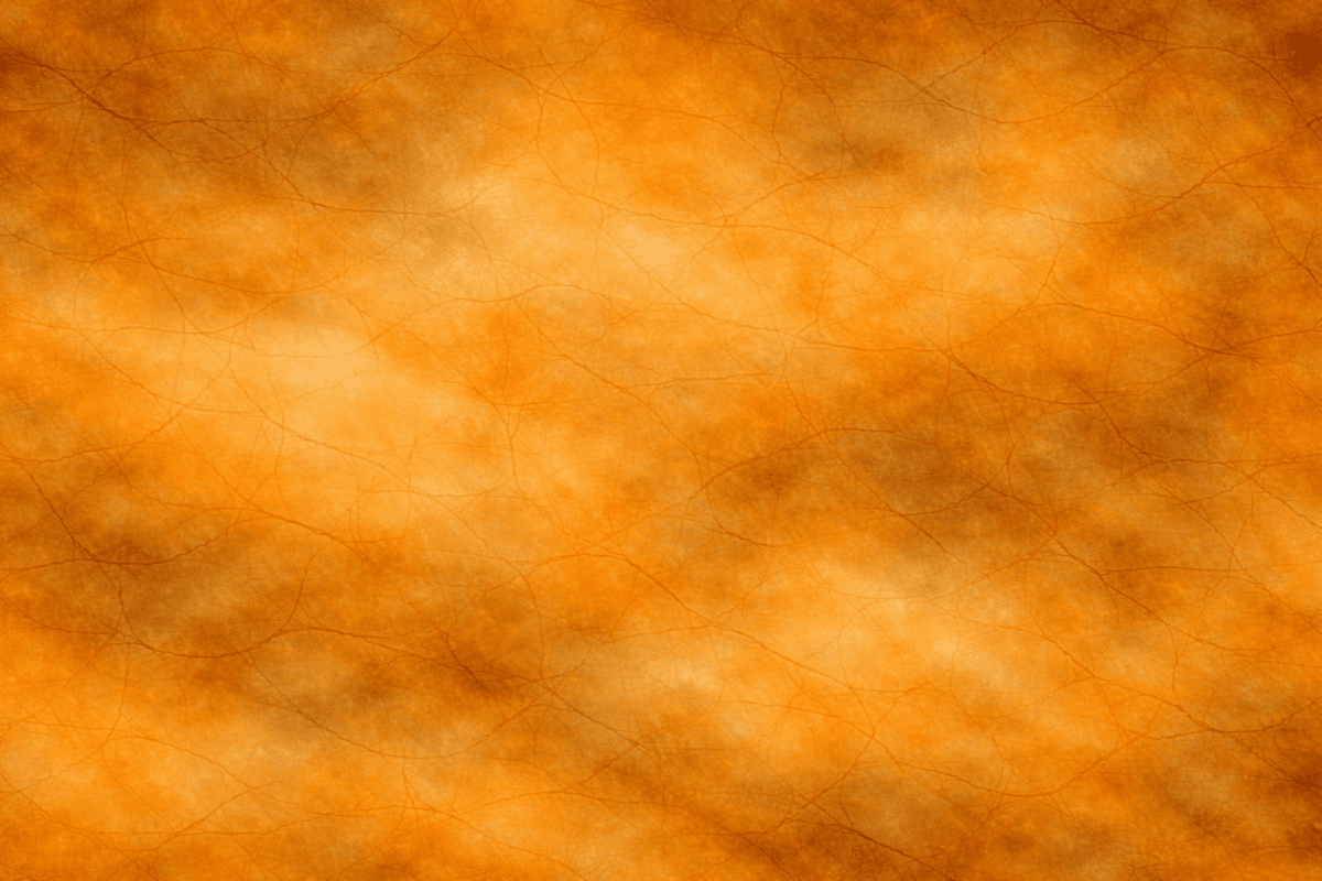 Sienna Veil