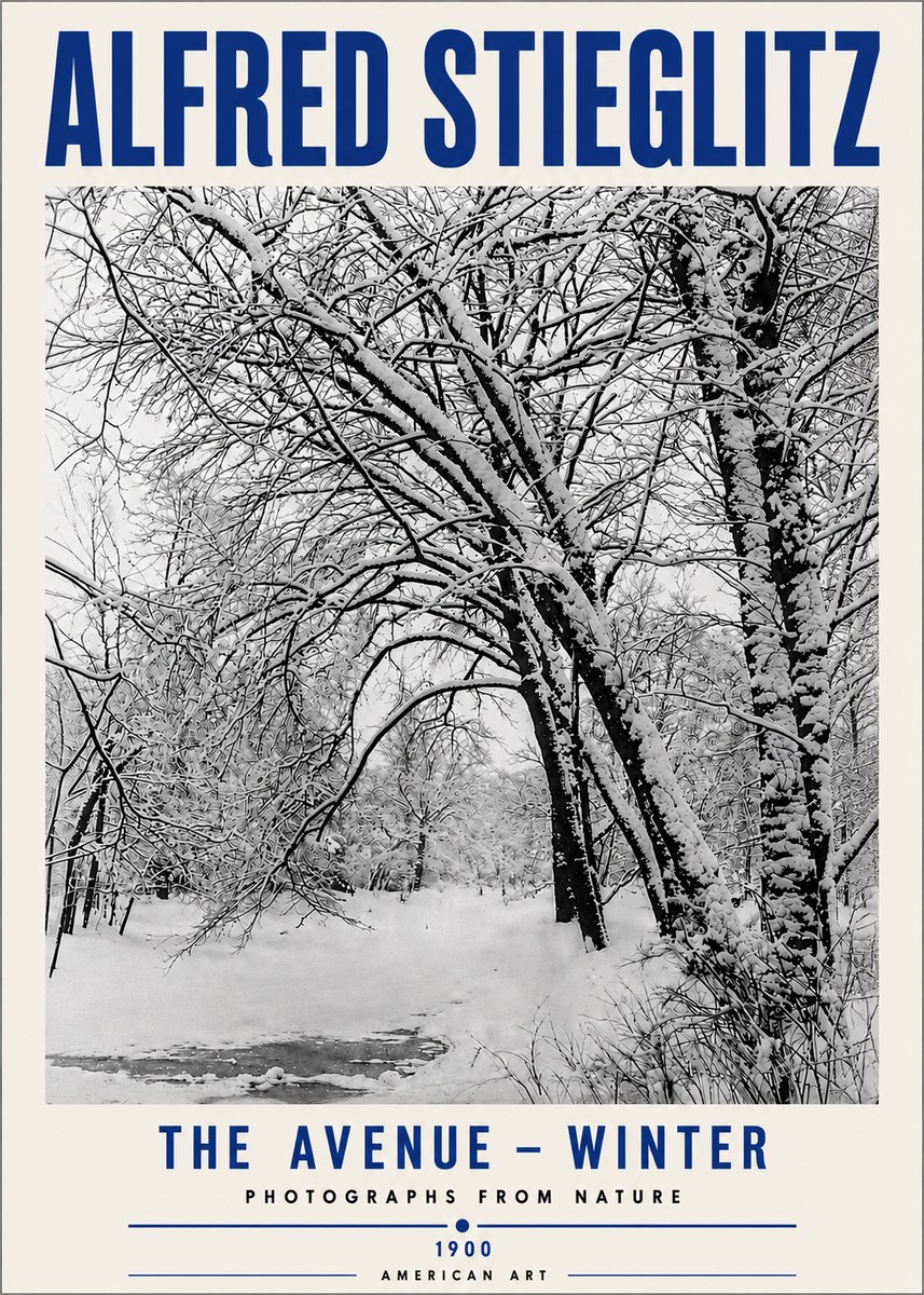 Alfred Stieglitz The Avenue – Winter No5 - Poster