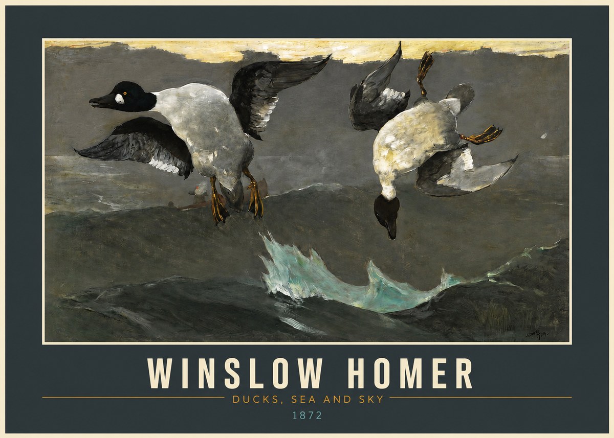 Winslow Homer Ducks, Sea and Sky No2 - Poster