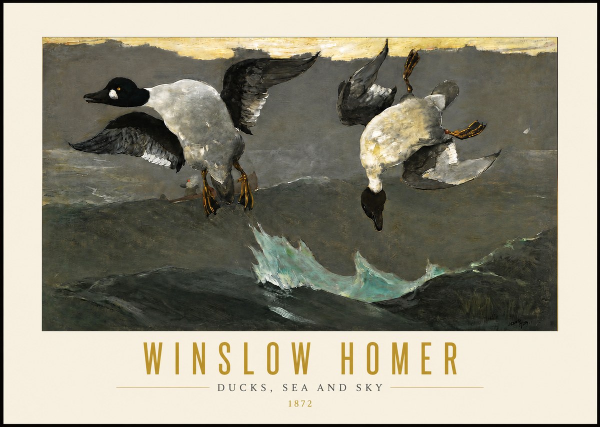 Winslow Homer Ducks, Sea and Sky No4 - Poster