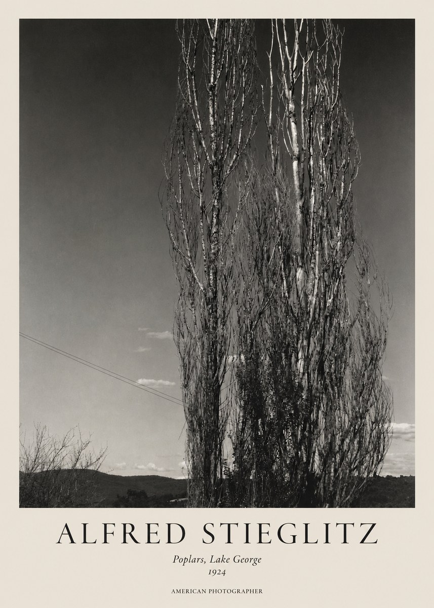 Alfred Stieglitz Trees - Lake George, 1921 No2 - Poster