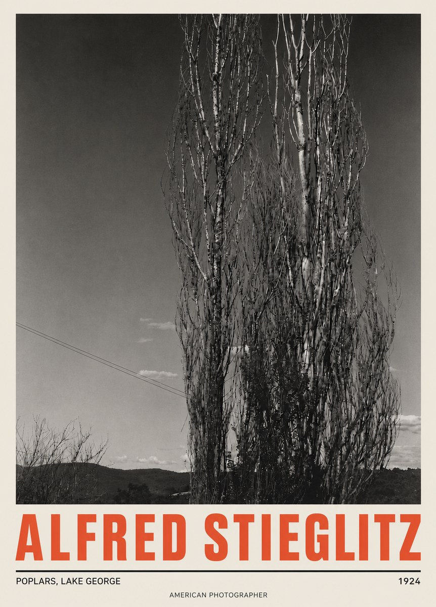 Alfred Stieglitz Trees - Lake George, 1921 No5 - Poster