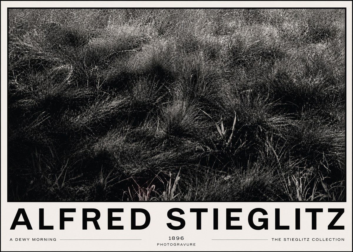 Alfred Stieglitz A Dewy Morning No6 - Poster