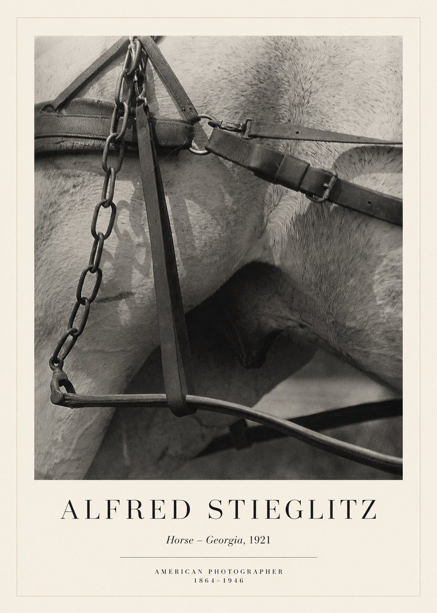 Alfred Stieglitz The Steerage I No6 - Poster