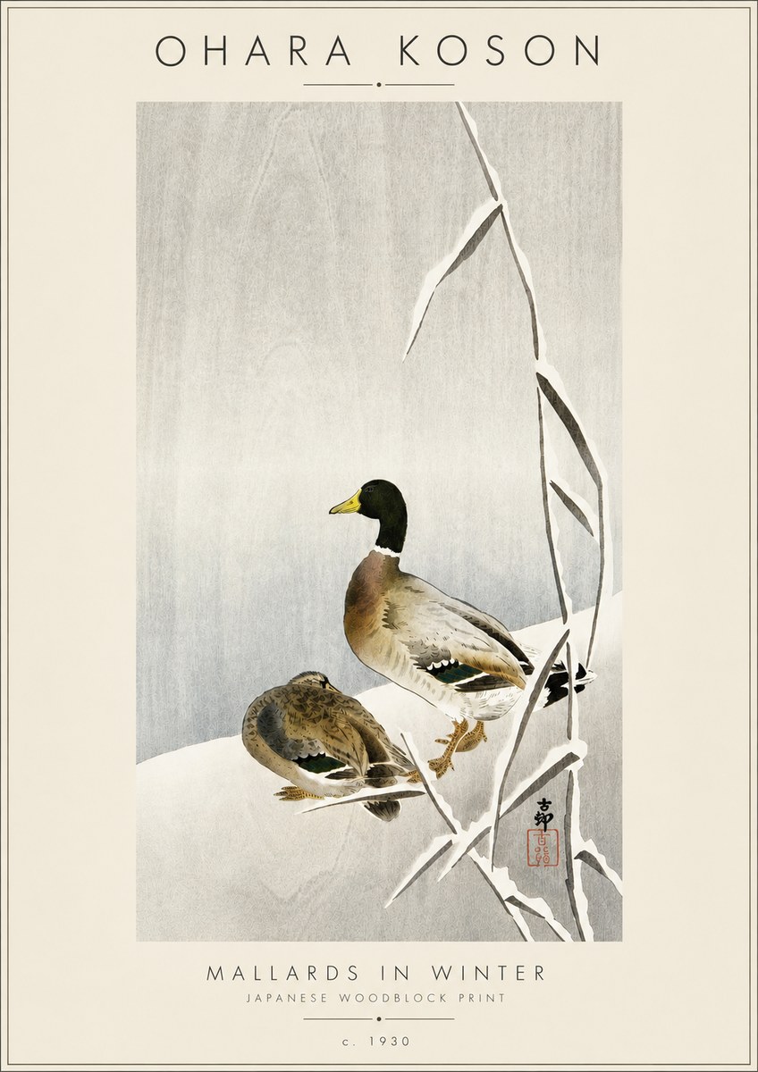 Ohara Koson Mallards in Winter No4 - Poster