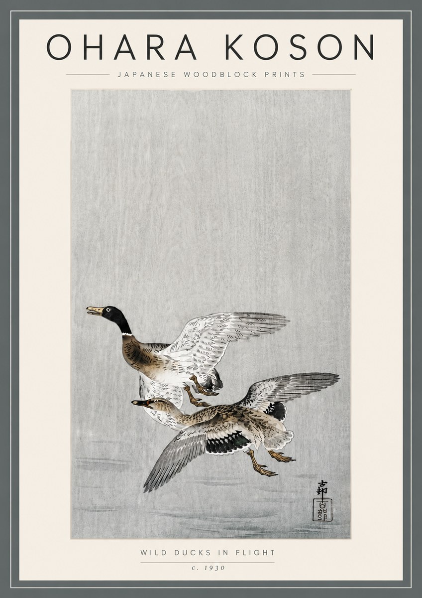 Ohara Koson Wild Ducks in Flight No5 - Poster