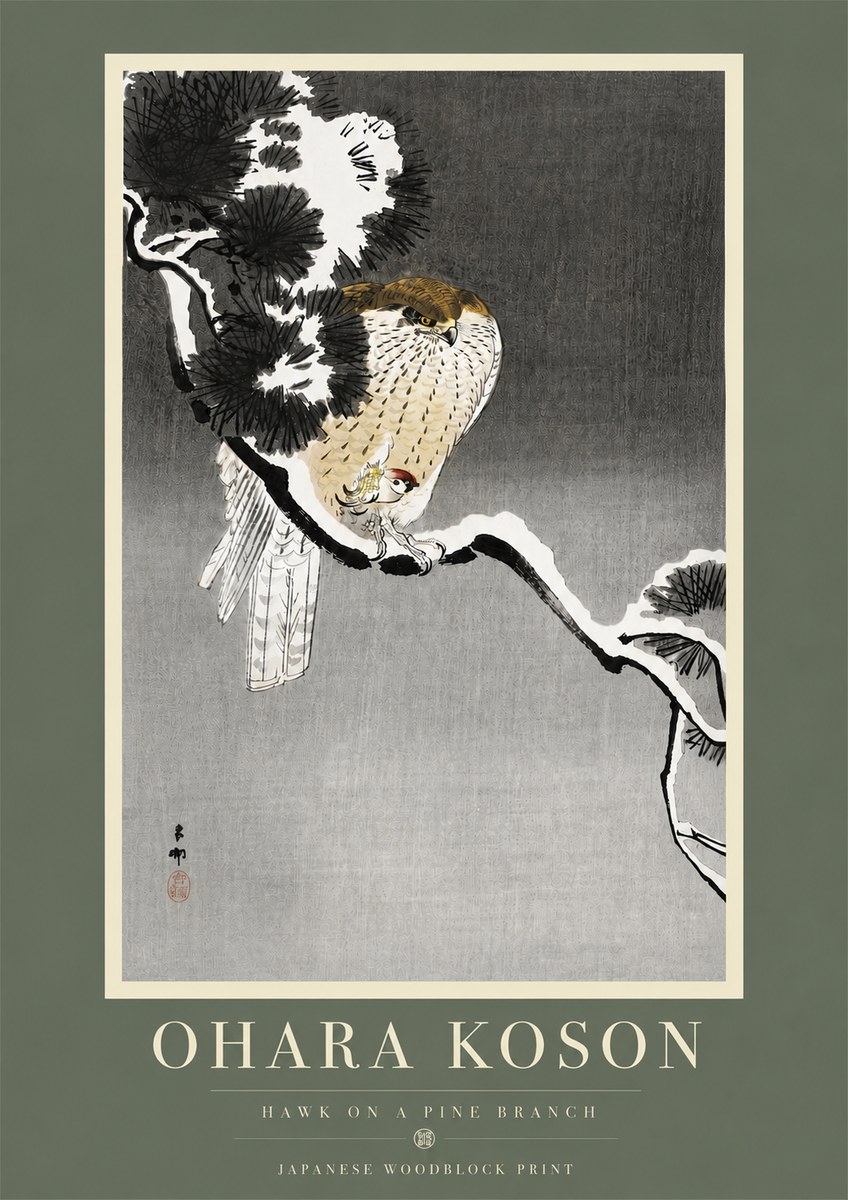 Ohara Koson Hawk on a Pine Branch No5 - Poster