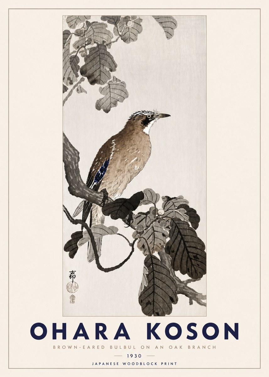 Ohara Koson Brown-eared Bulbul on an Oak Branch No3 - Poster