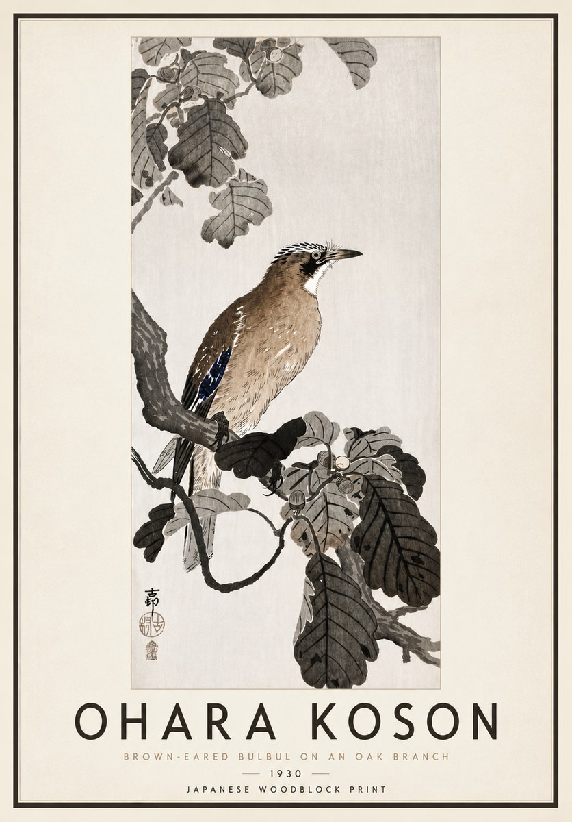 Ohara Koson Brown-eared Bulbul on an Oak Branch No4 - Poster