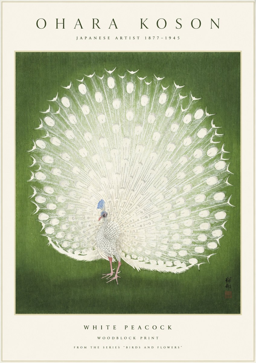 Ohara Koson White Peacock No1 - Poster