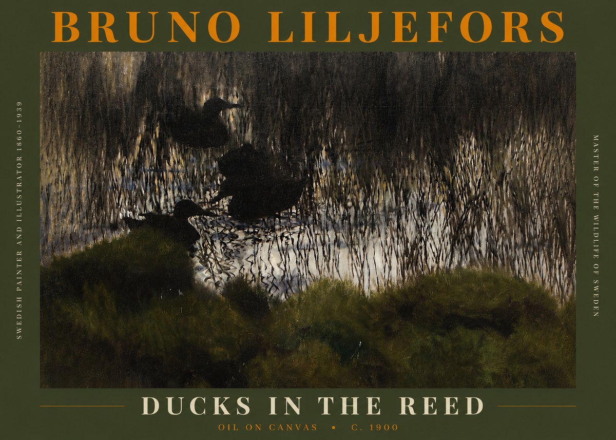 Bruno Liljefors Ducks in the Reed No3 - Poster