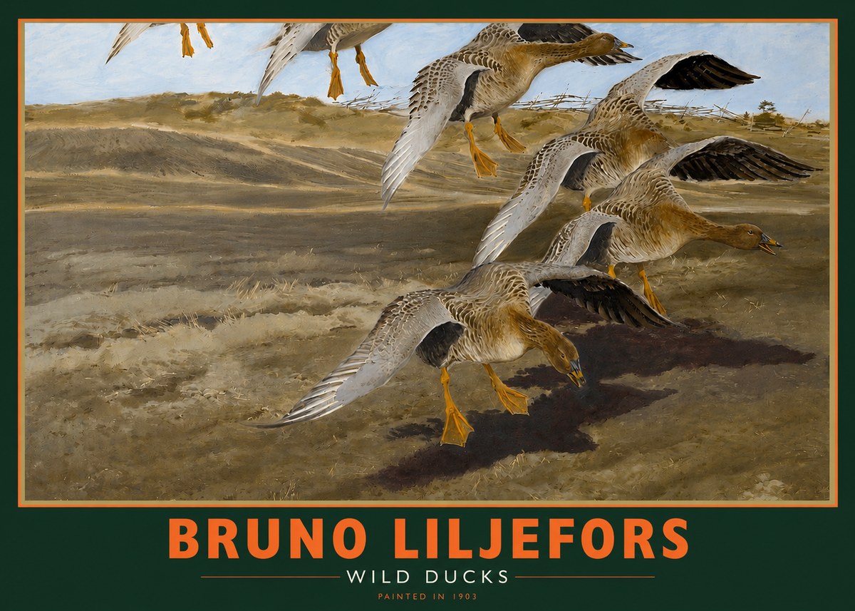 Bruno Liljefors Wild Ducks I No2 - Poster