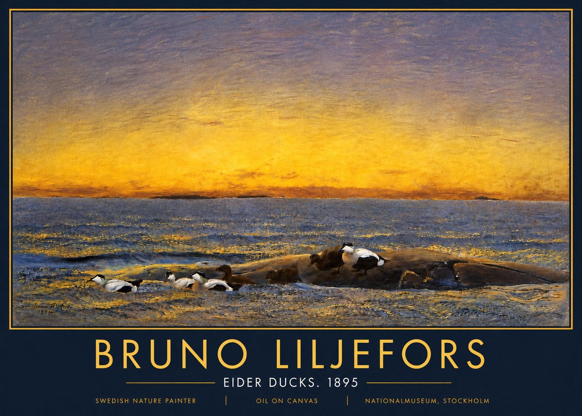 Bruno Liljefors Eider Ducks. 1895 No5 - Poster