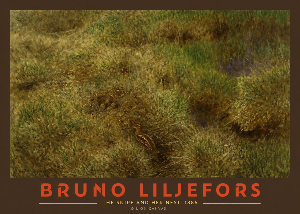 Bruno Liljefors The Snipe and Her Nest No2 - Poster