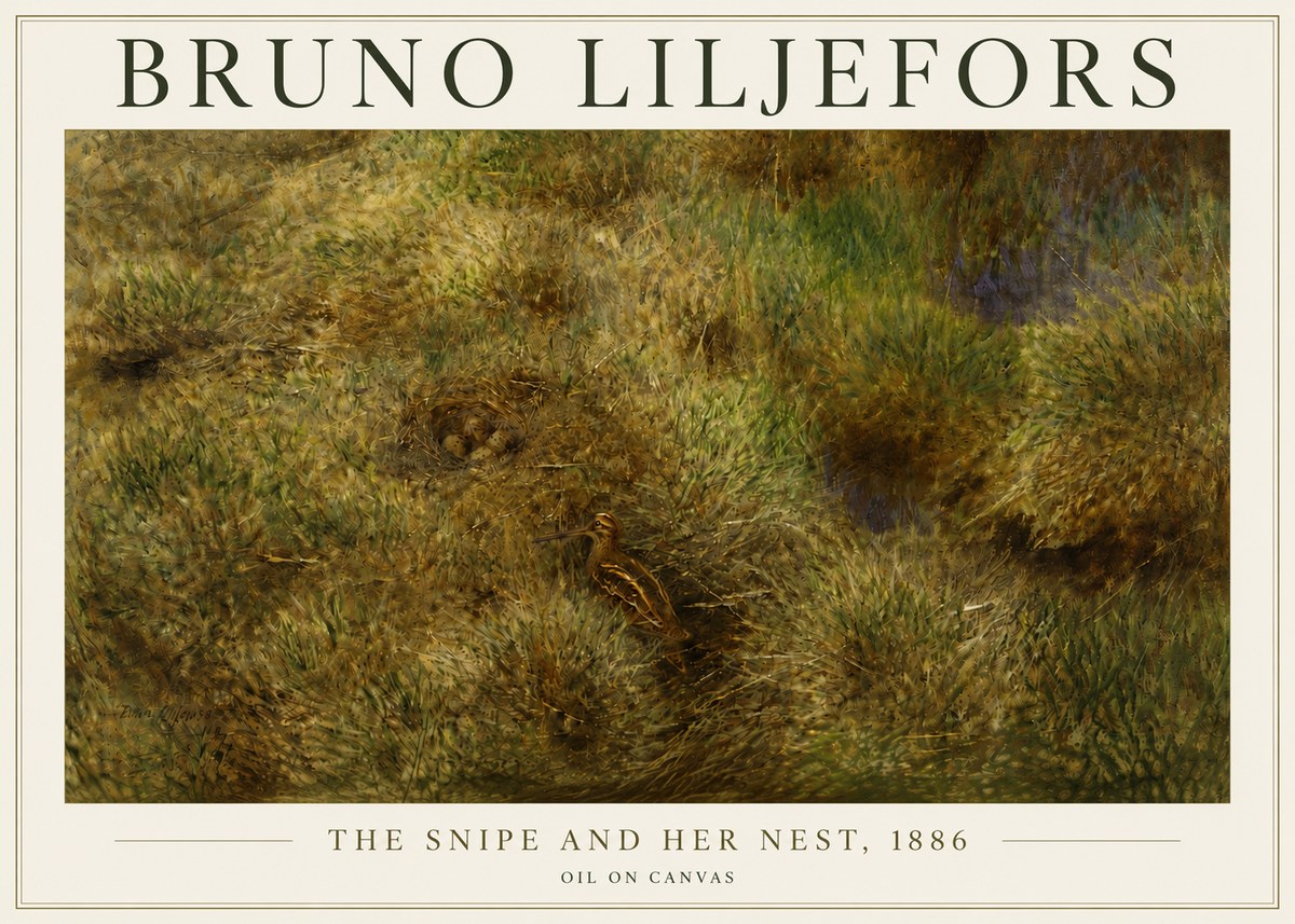 Bruno Liljefors The Snipe and Her Nest No5 - Poster